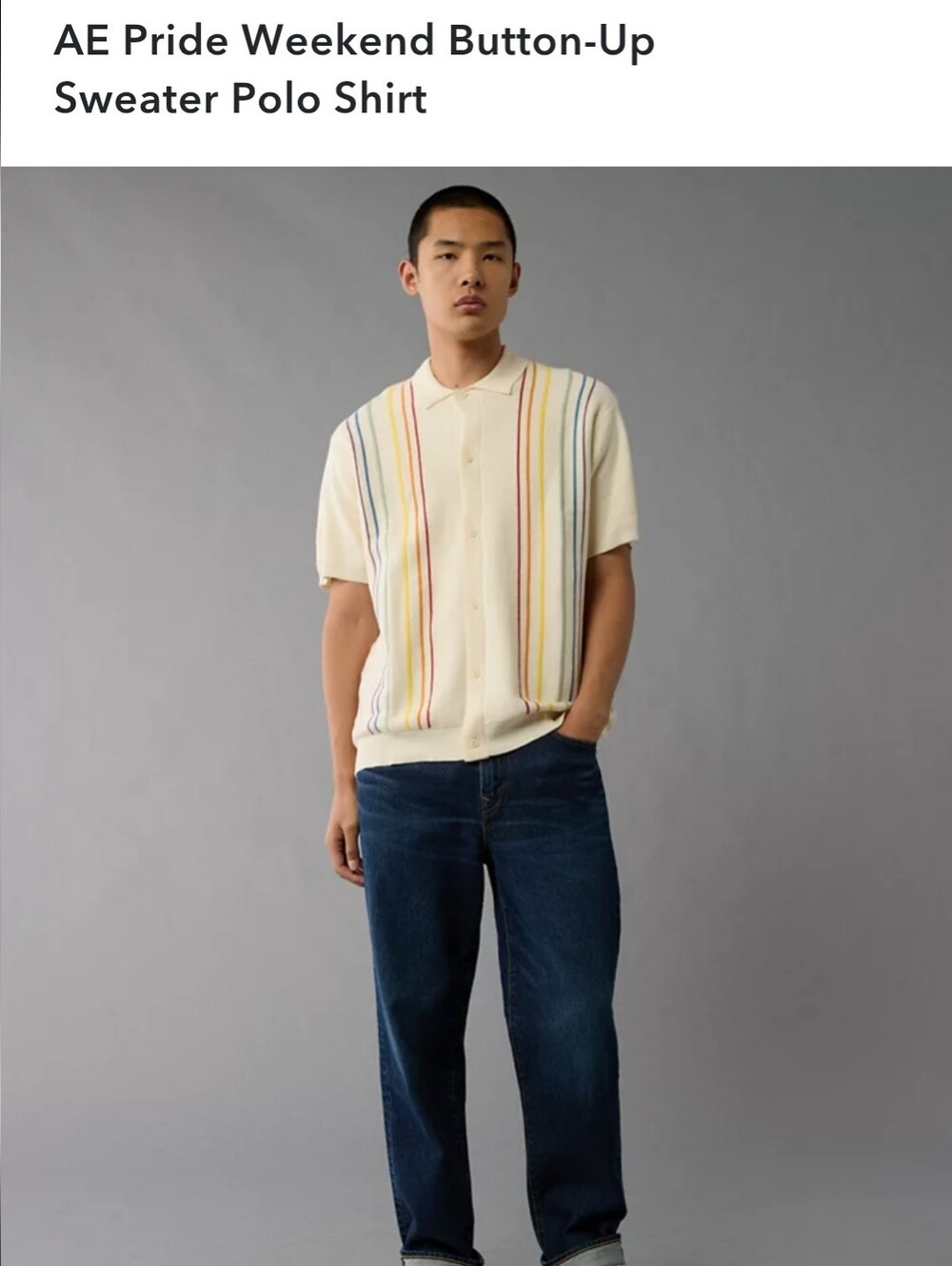 Men's AE Pride Weekend Button Up Polo Sweater, L Tall